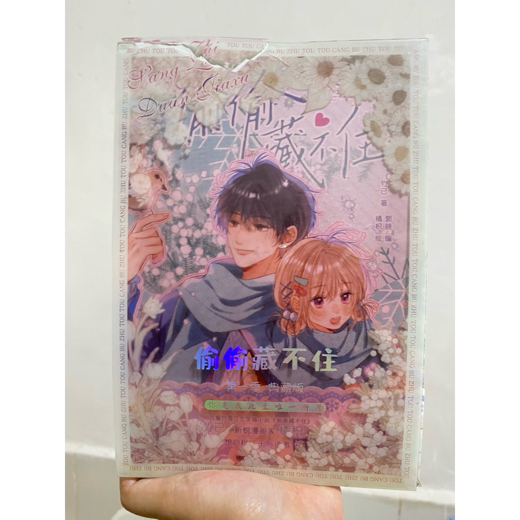 Manhua Hidden Love Box Set 1-4