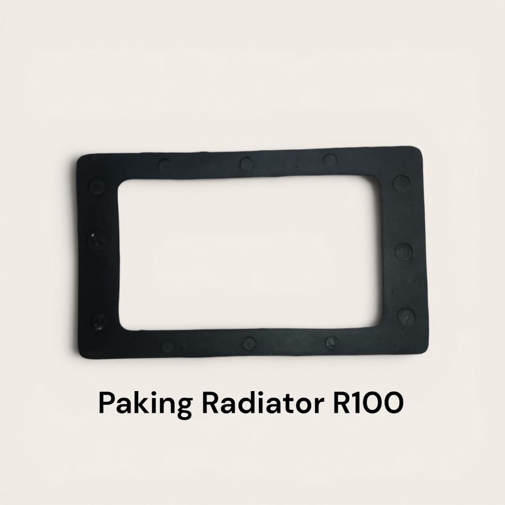 paking radiator R100