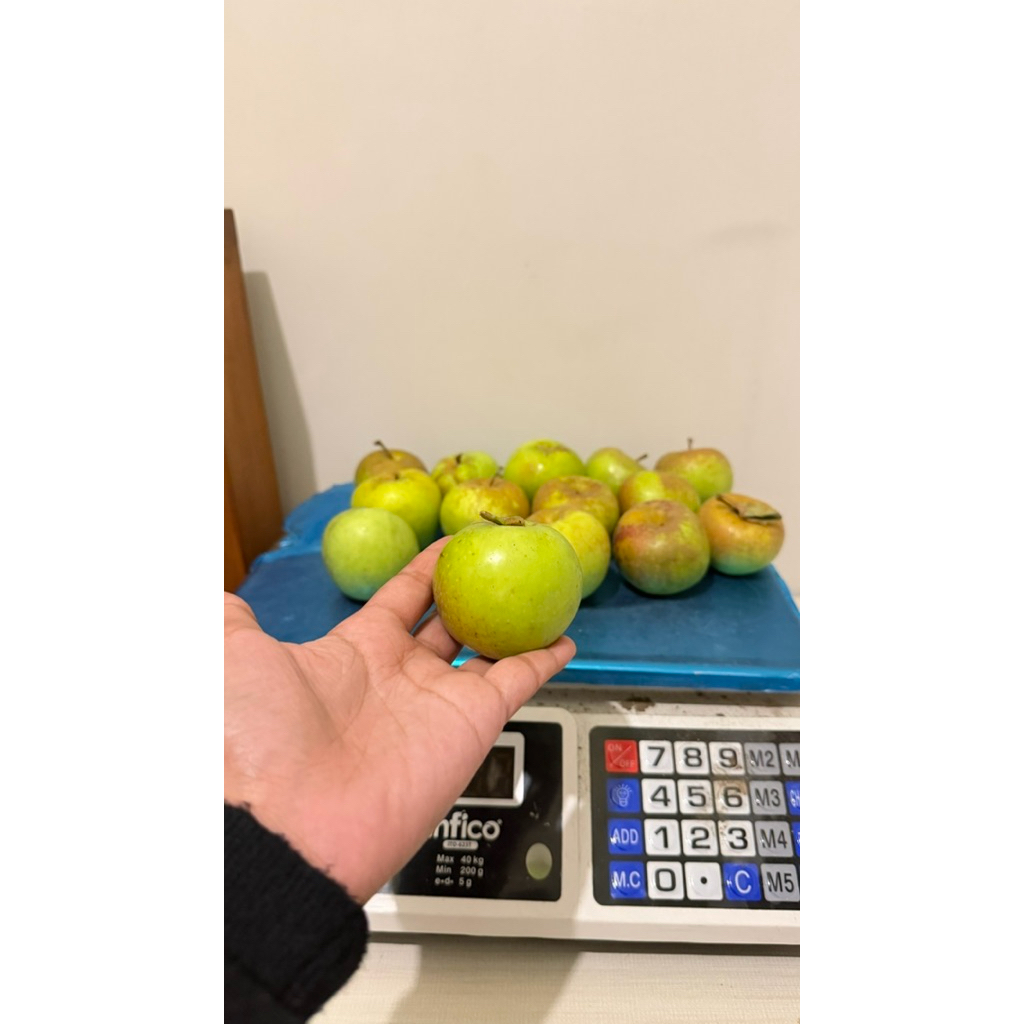 apel manalagi/apelmalang/apel madu 1kg isi 15-17 biji manis