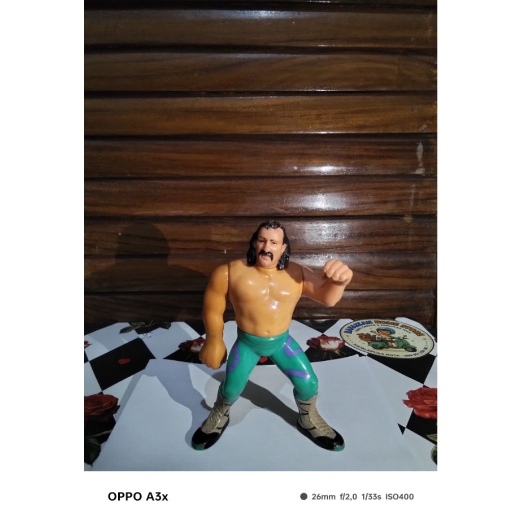 figure jake the snake roberts 1990 vintage hasbro Titan sport