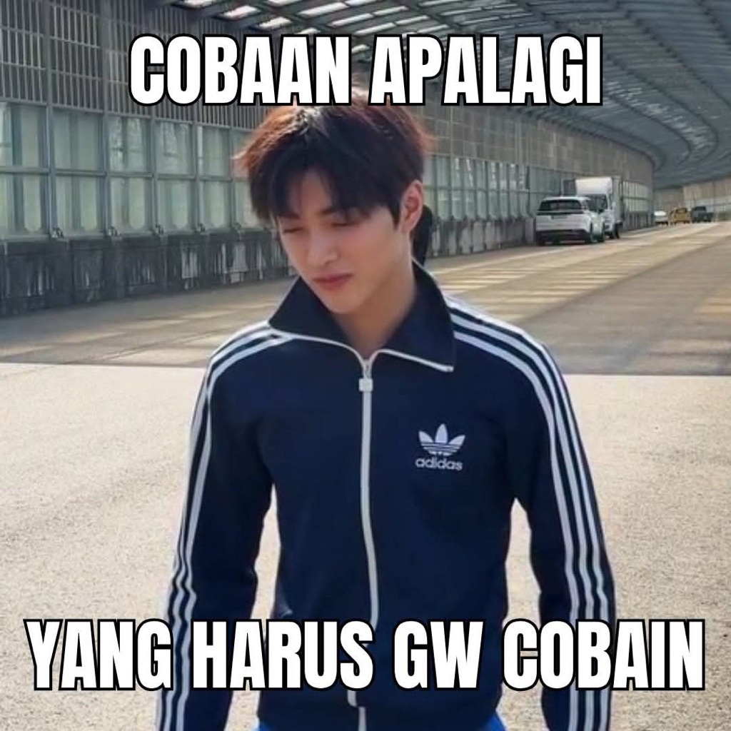 PC cortis