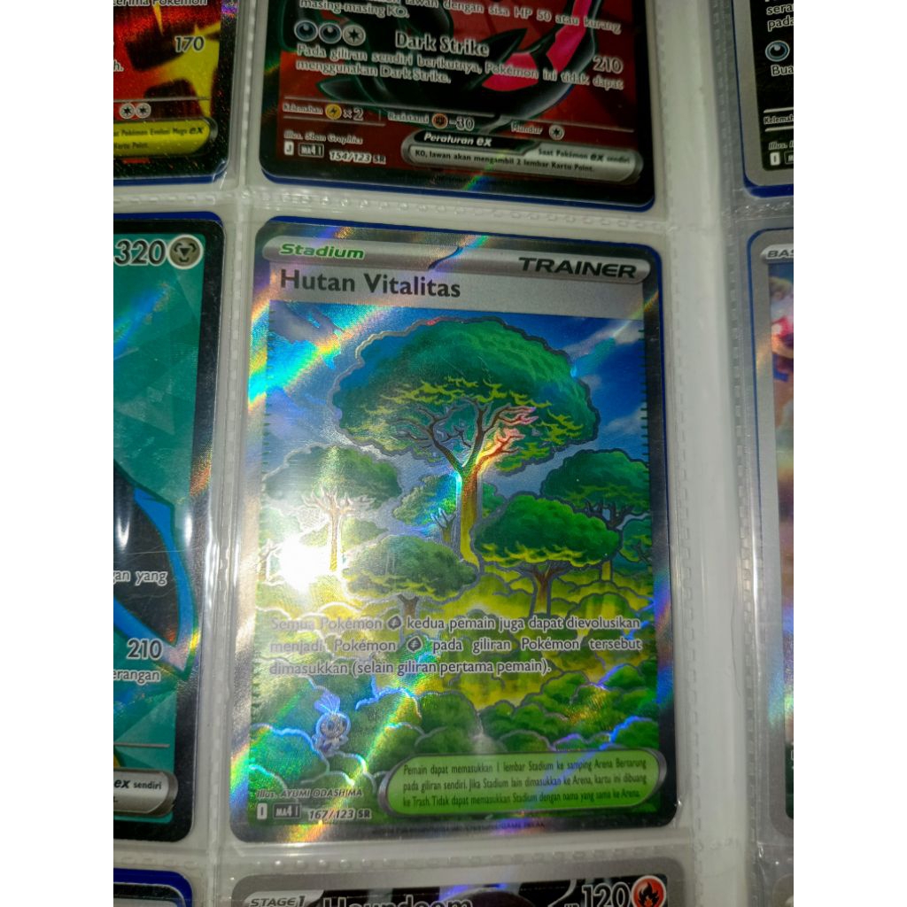 Hutan Vitalitas Sr