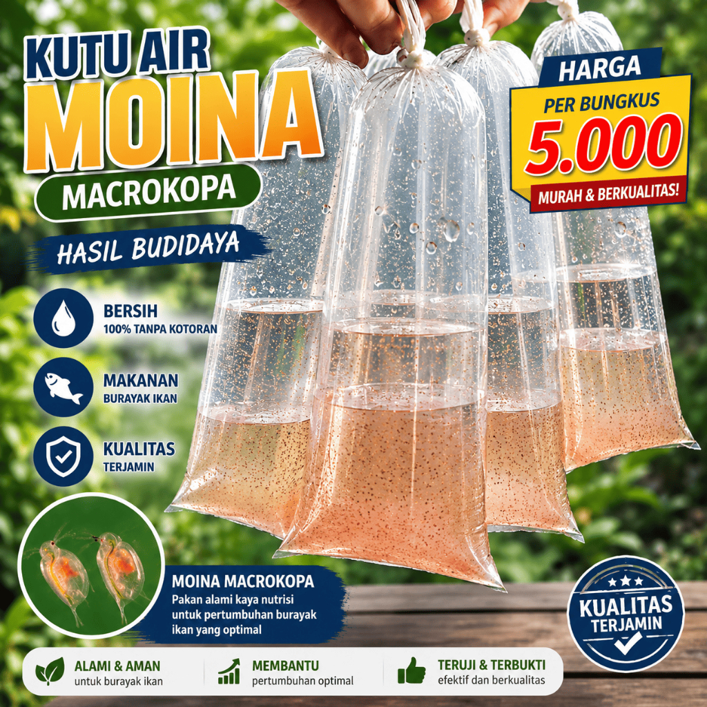 Kutir Kutu Air Hidup Moina Makrokopa SP Makanan Ikan Burayak Anakan Hias Pakan Ikan Cupang