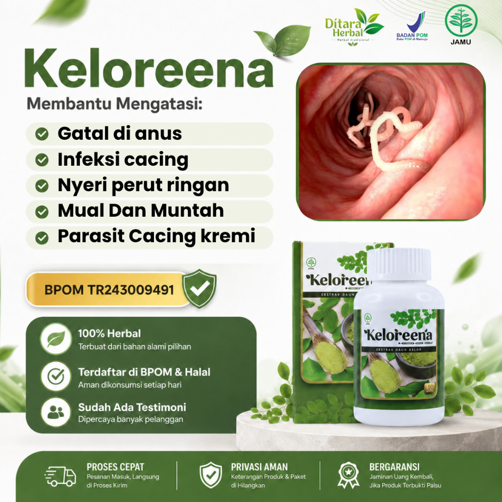 Obat Cacing Kremi Pada Anak, Obat Infeksi Cacing Kremi, Obat Tetes Cacing Kremi, Obat Gatal Anus Cac