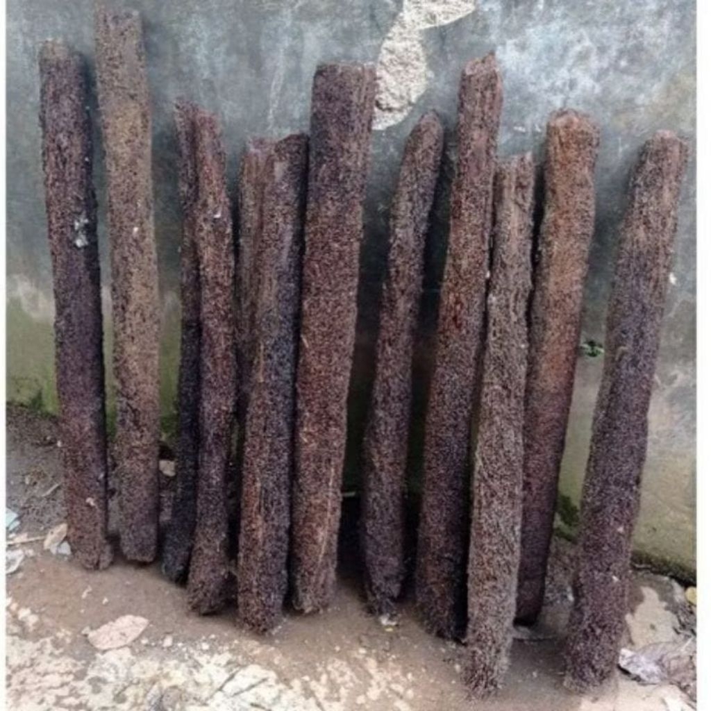 Batang Pohon Pakis Lempeng 1 Meter Untuk Media Tanam Siap Pakai Diameter Besar