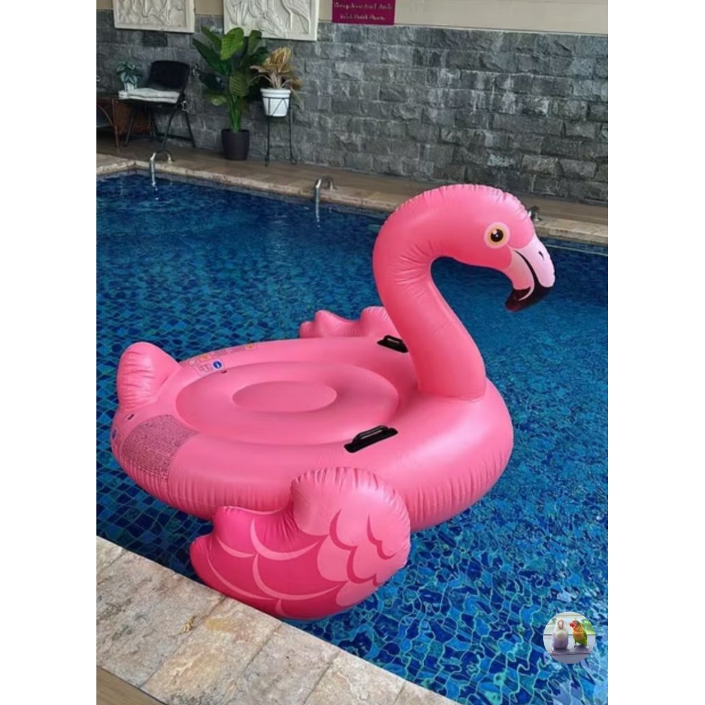Pelampung Kolam Renang INTEX plampung Angsa instant