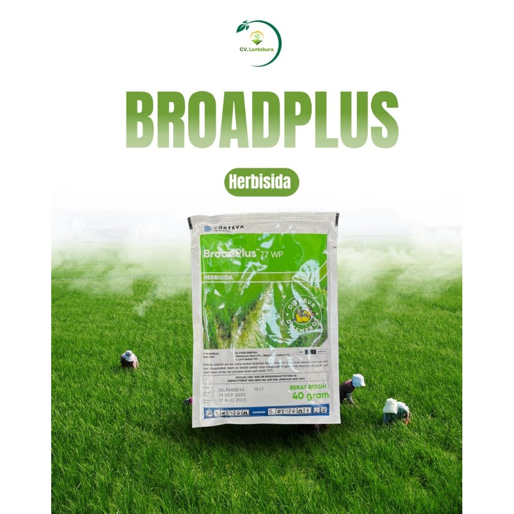 BROADPLUS 77 WP