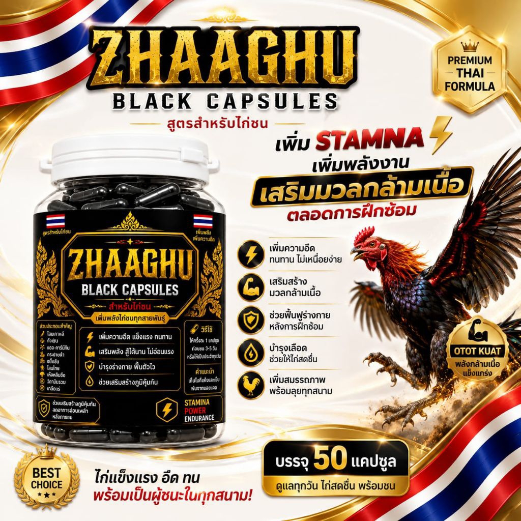 Zhaaghu black capsules isi 50 Suplemen Ayam Aduan Penambah Stamina & Pembentuk Otot Ayam Bangkok, Su