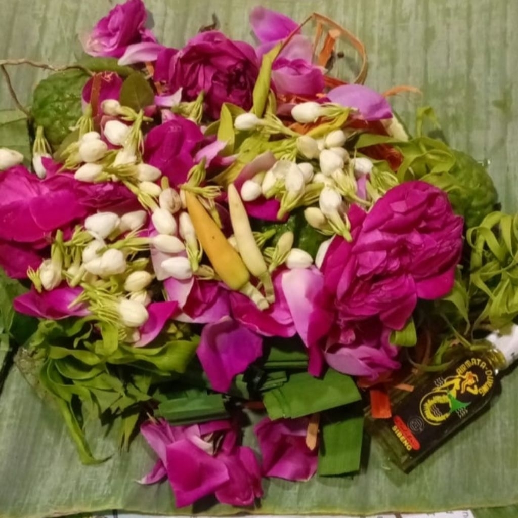 [TERMURAH]Bunga macan kerah untuk mandi segar komplit- untuk jamu fresh- pengiriman cepat instan pri