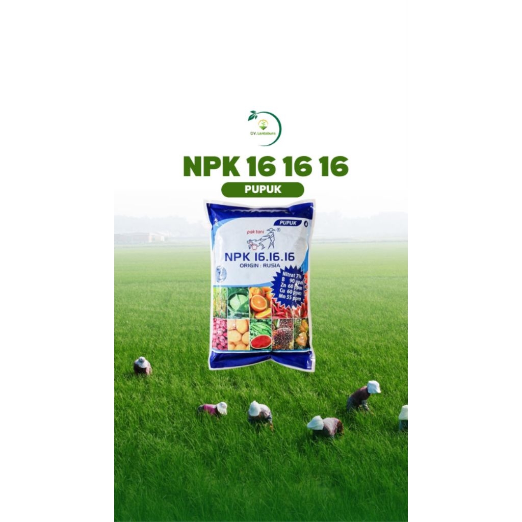 NPK 161616