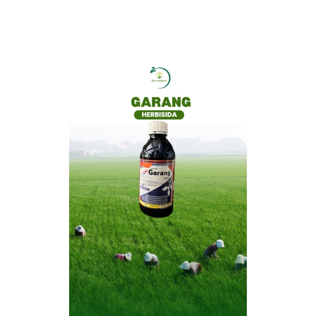 GARANG 135 SL
