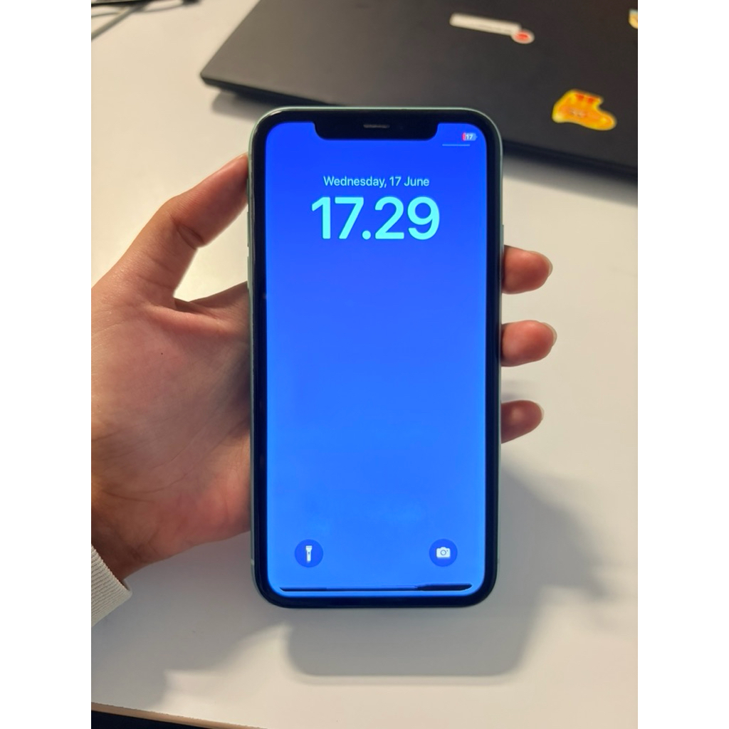 Iphone 11 64GB Green Second Ex Inter