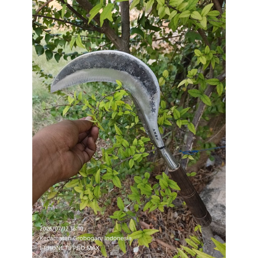 sabit rumput padi arit baja isen