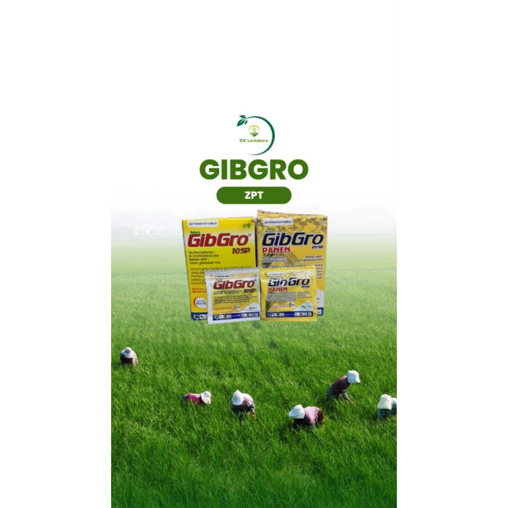 GIBGRO 10SP - GIBGRO 20SP