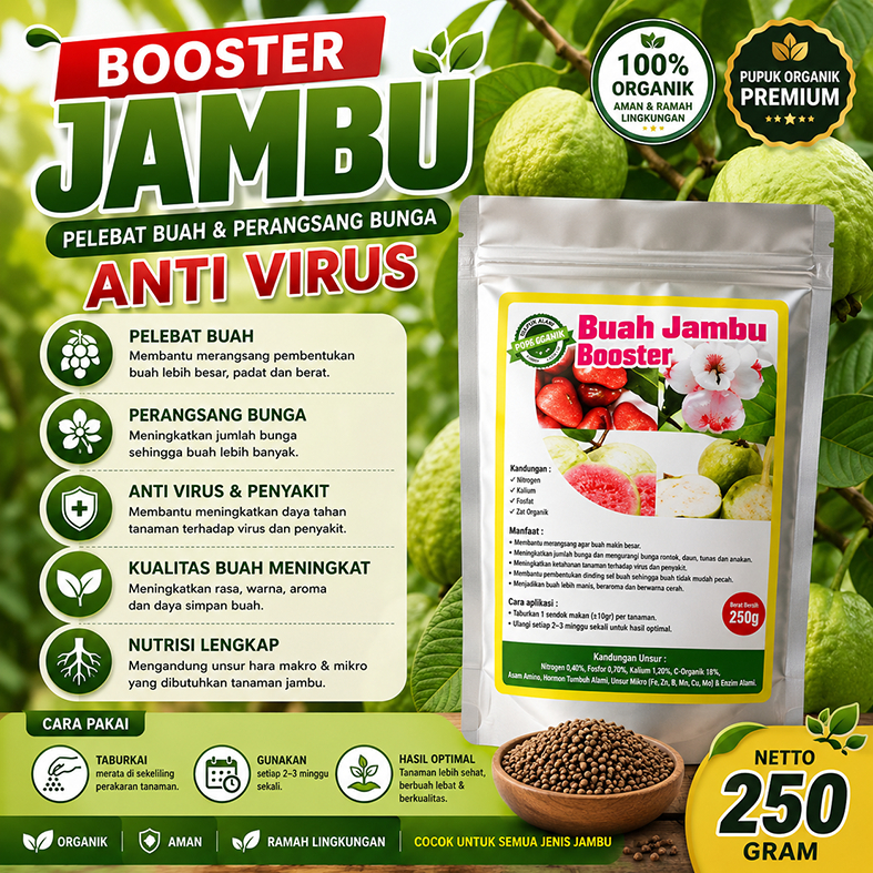 Pupuk pelebat buah jambu kristal Pupuk pelebat buah jambu