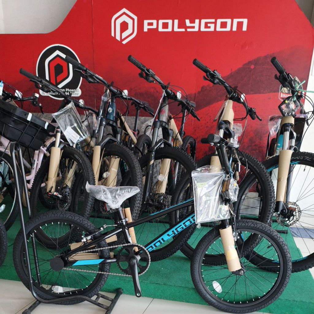 BMX POLYGON ROGUE BLACK Alloy 20"