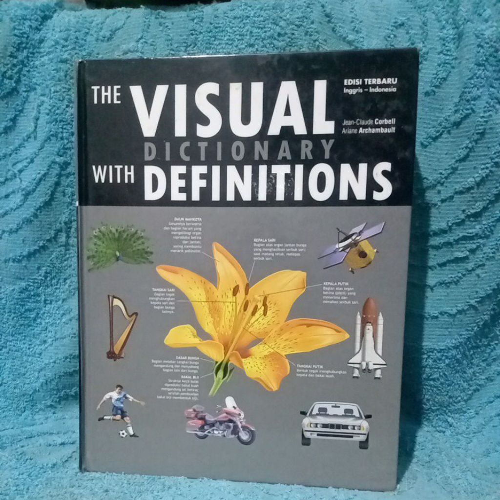 the visual dictionary with definitions
