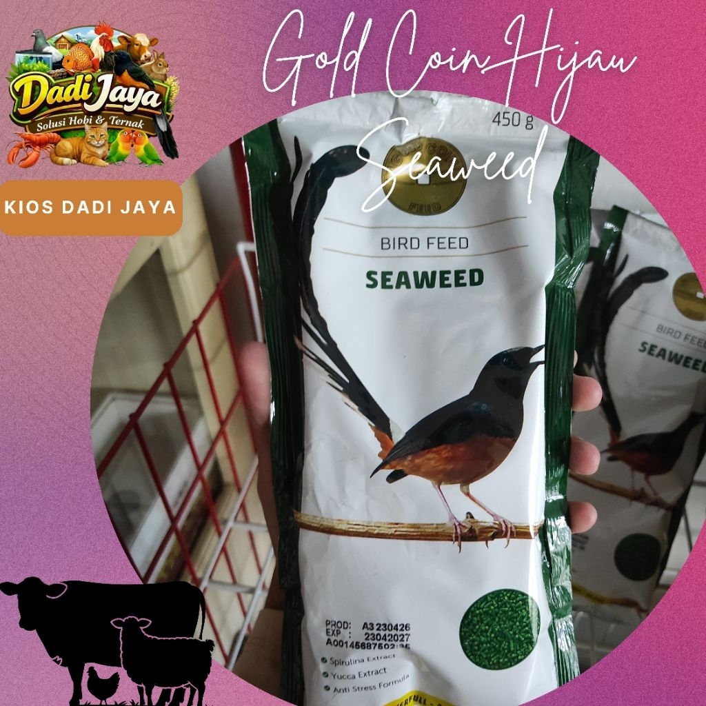 Gold Coin Seaweed | Gold Coin Hijau
