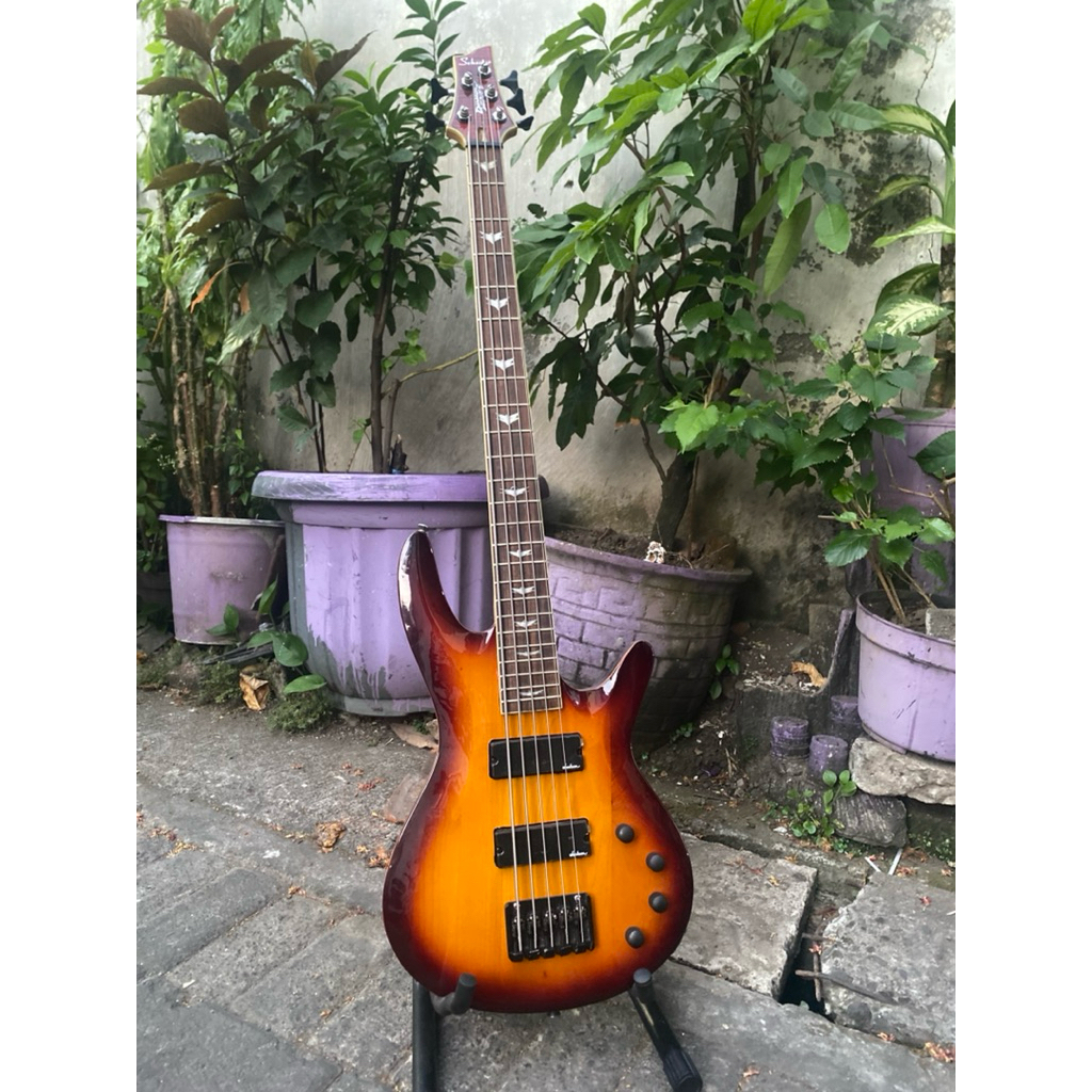 bass  Schecter 5string sunbrust