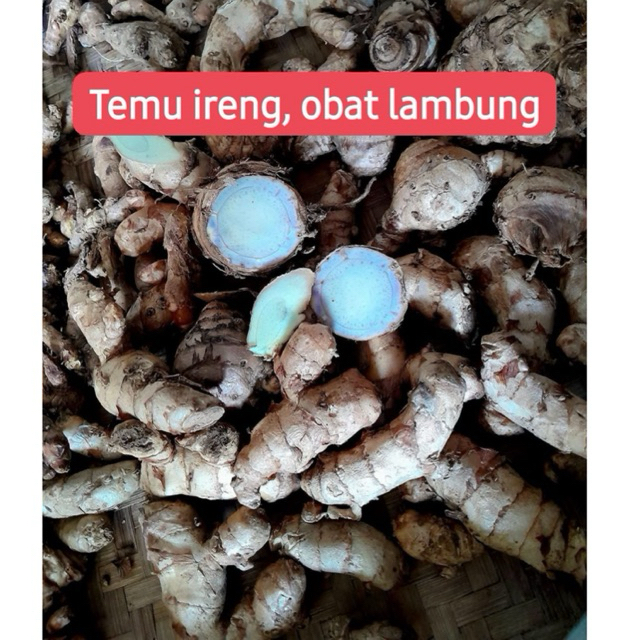 1 kg kunyit hitam basah kering/temu ireng kering kunyit ireng kering