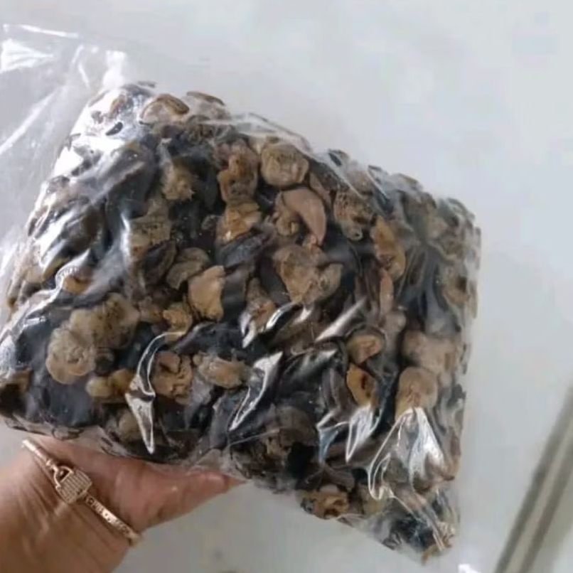 Bekicot mentah 1 kg