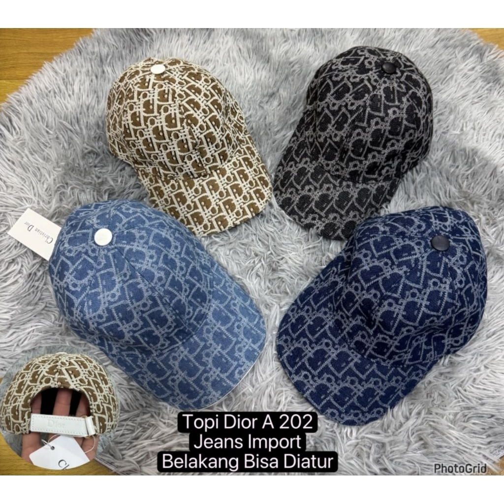 Topi Import Dior