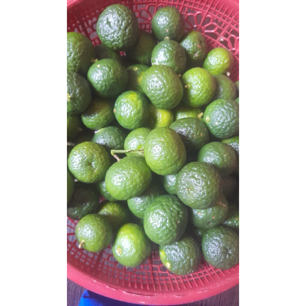 kerupuk lekor