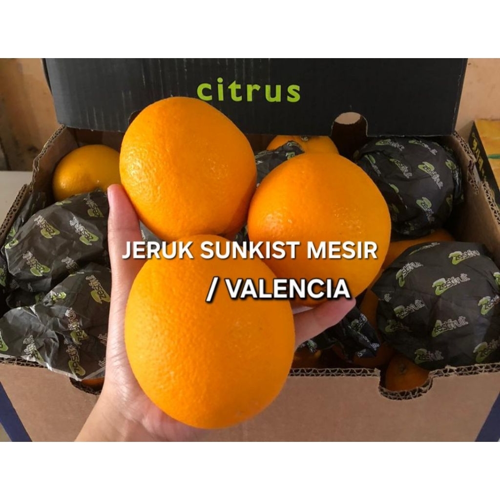 JERUK SUNKIST MESIR/MESIR 1 KG