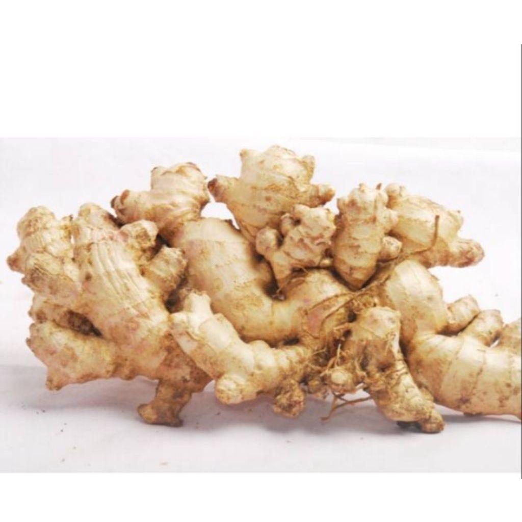 Jahe paris /emprit frees berkualitas 500 gram