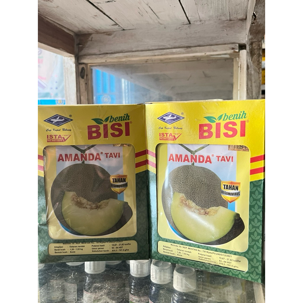 BENIH MELON AMANDA TAVI