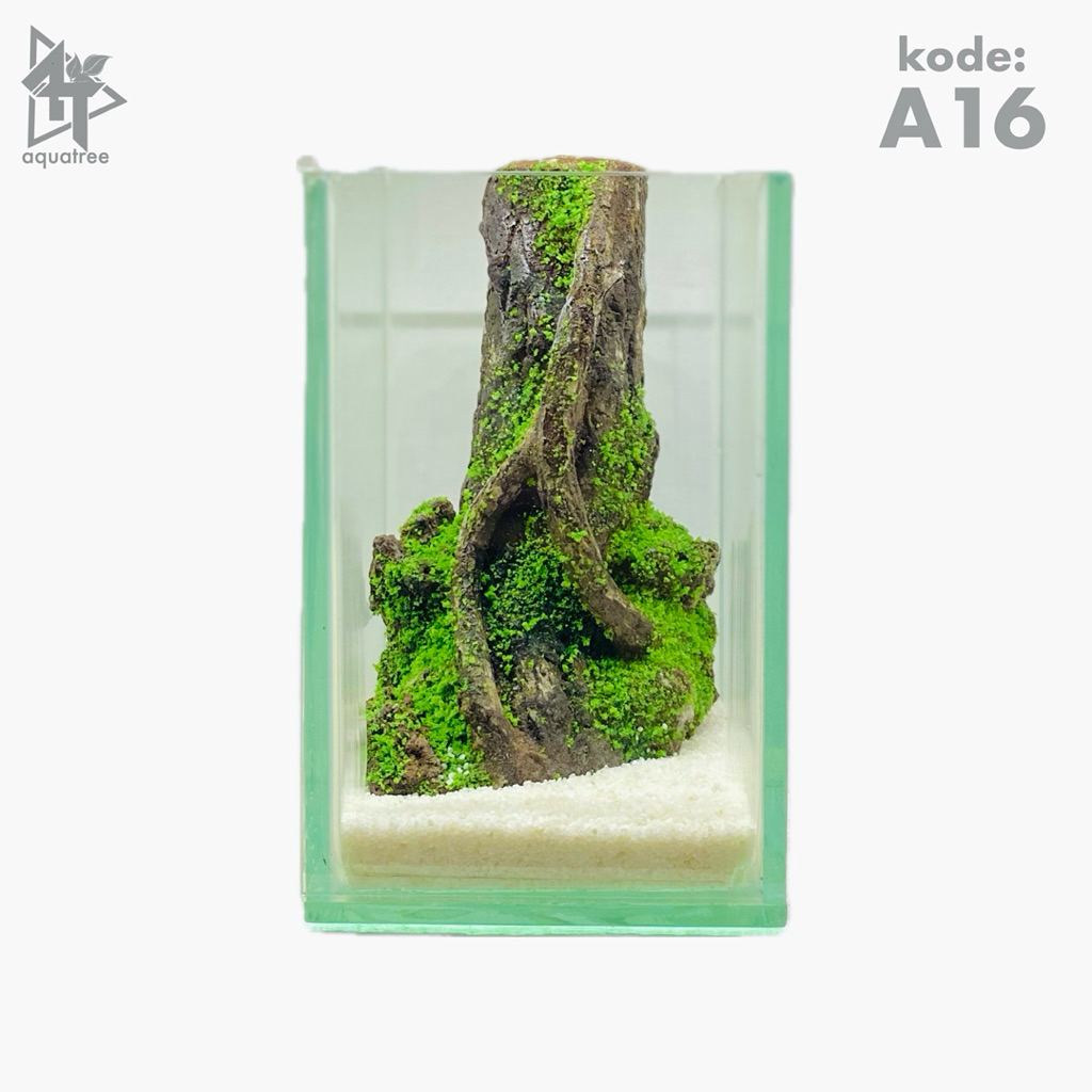 aquascape mini 10x15x10cm, cocok untuk ikan cupang || gratis packing dan bergaransi