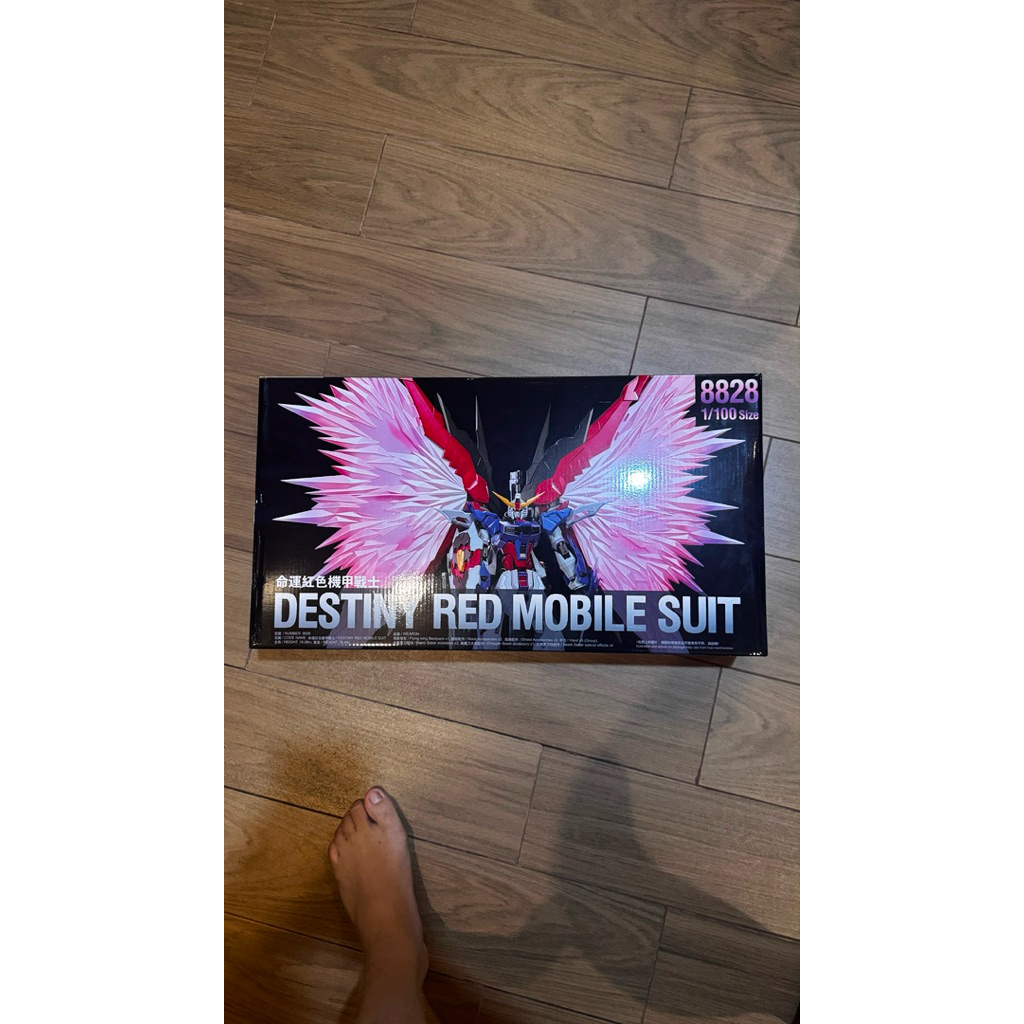 DABAN 8828 DESTINY 1/100