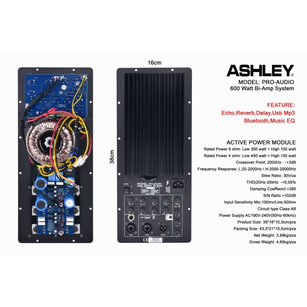Modul Speaker Aktif Ashley Model PRO - AUDIO 600 Watt Bi-Amp System Echo Reverb Delay USB MP3 Blueto