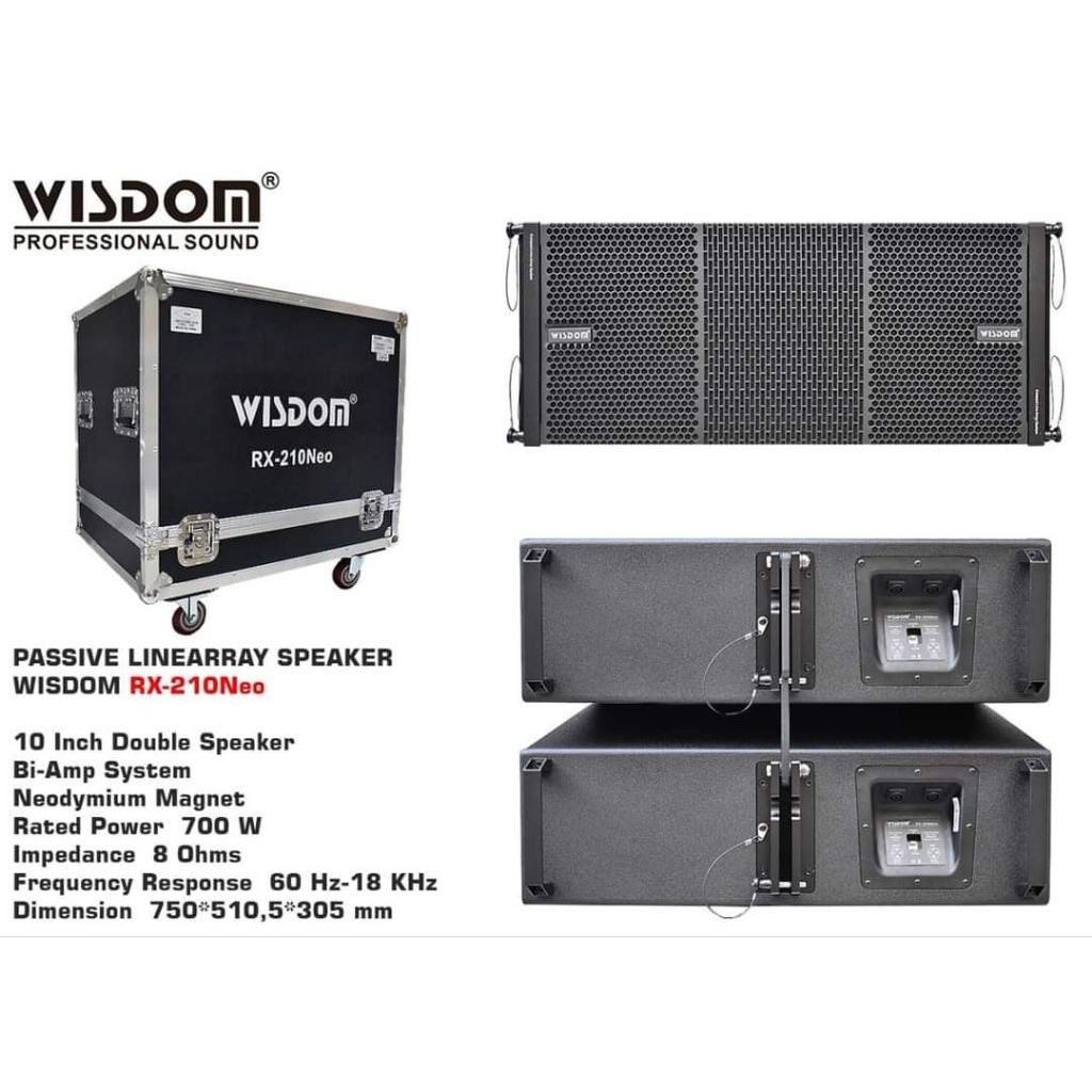 Wisdom RX 210 Neo speaker line array wisdom rx210 neo