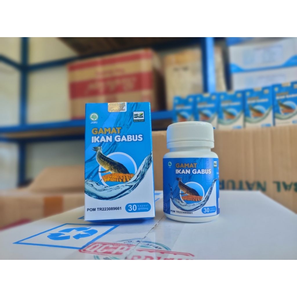 Kapsul Gamat Ikan Gabus Al Afiat 30 Kapsul Mempercepat Proses Penyembuhan Luka dan Patah Tulang