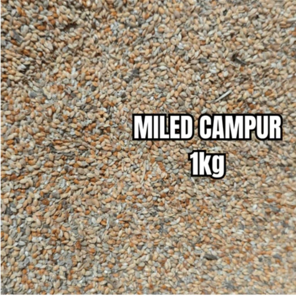 Miled/Milet Campur 1 Kg (PUTIH, KUNING, MERAH)
