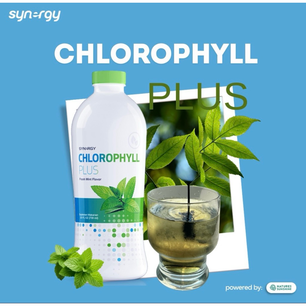 Synergy Chlorophyll Plus 730ml - Konsentrasi Tinggi, Nutrisi Lengkap, Rasa Segar