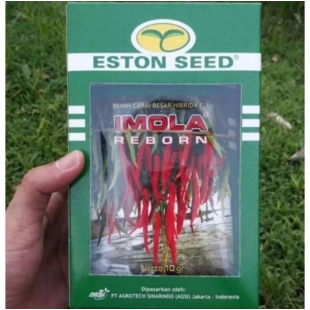benih bibit cabe unggulan IMOLA REBORN isi 10gram benih murni.