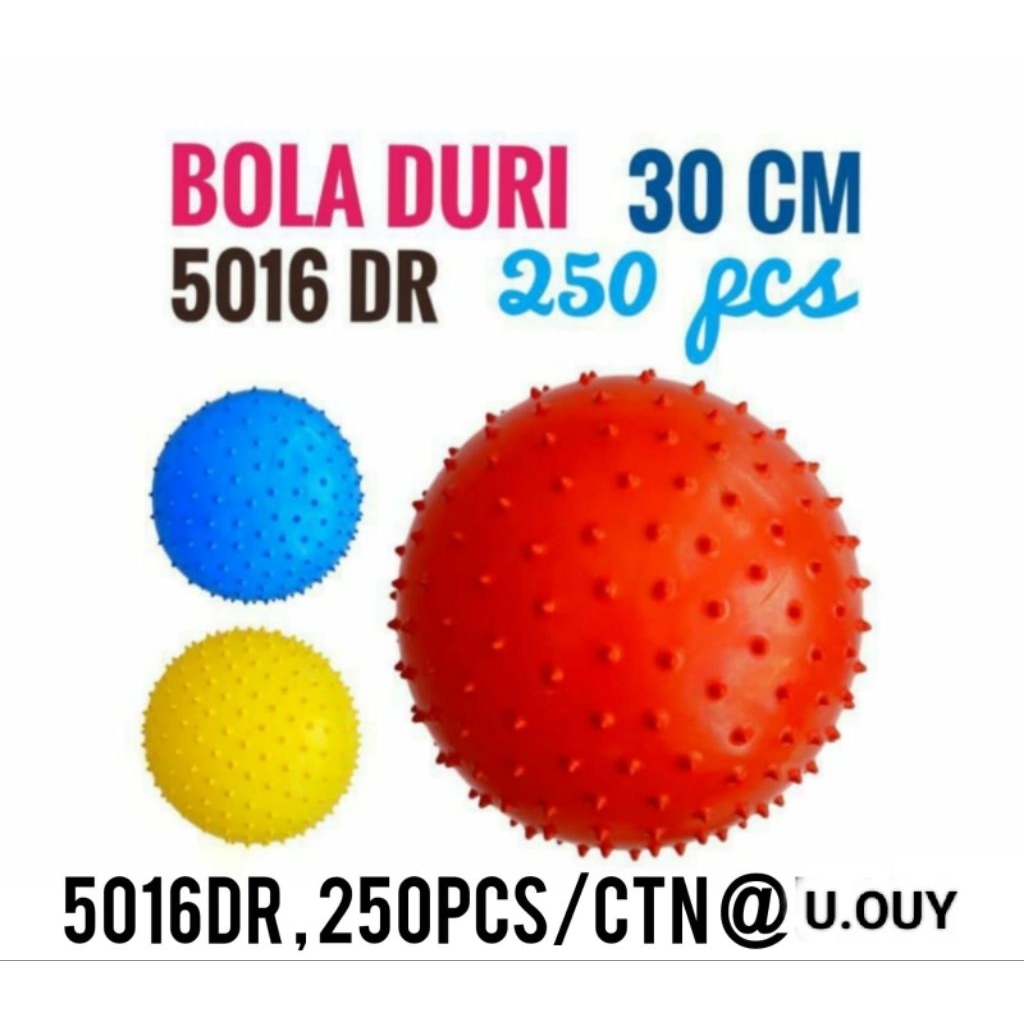 GOLDEN TOYS - BOLA DURI KARET 30 CM 5016DR