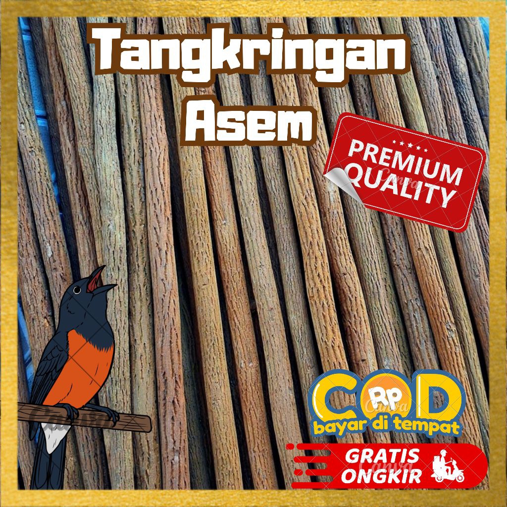 Tangkringan asem jawa premium