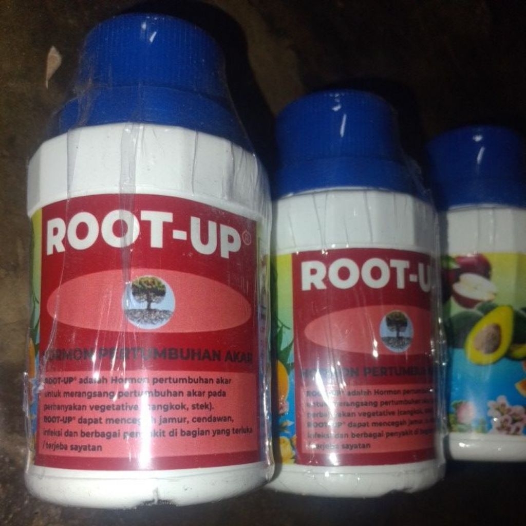 Root Up Perangsang Akar