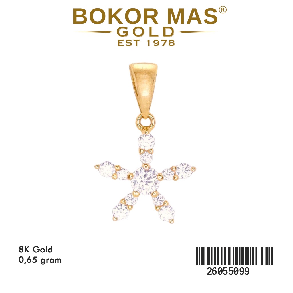 Liontin Permata Bintang Emas 375 8K 26055099 - BokorMas Gold