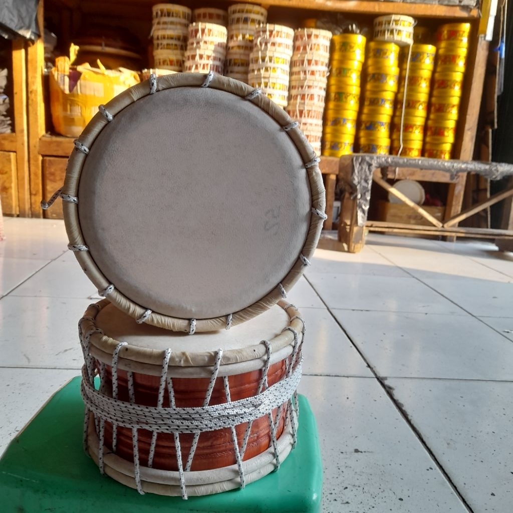 MARAWIS POLOS KEPRAK MARAWIS KAPRAK MARAWIS D18CM