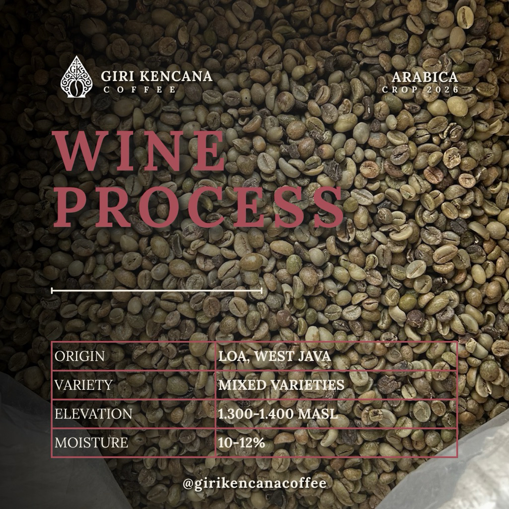 Green Bean Arabica Wine Process Java Preanger – Coffee Bean Loa, Jawa Barat Specialty Grade – Biji K