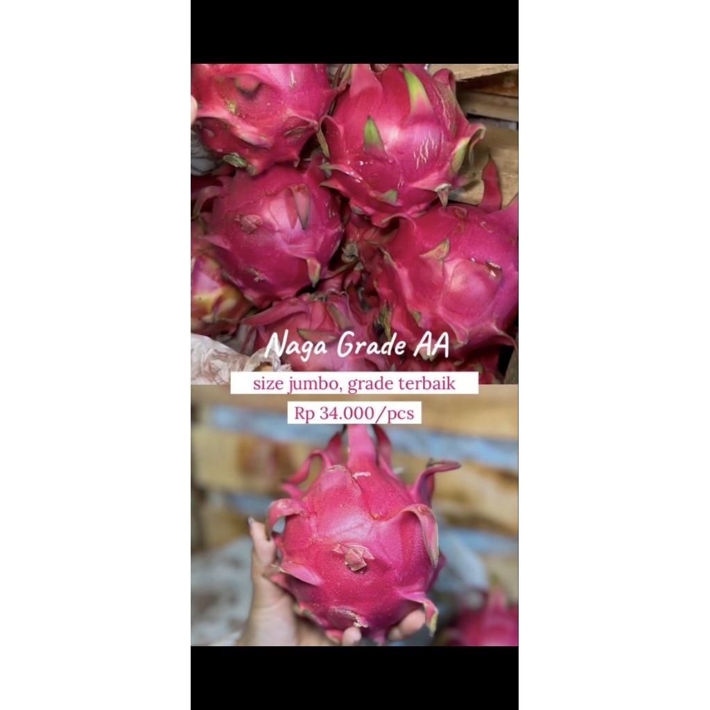 Pre Order "Buah Premium Pasar Induk" (PO Buah Premium Pasar Induk) - Naga Grade AA