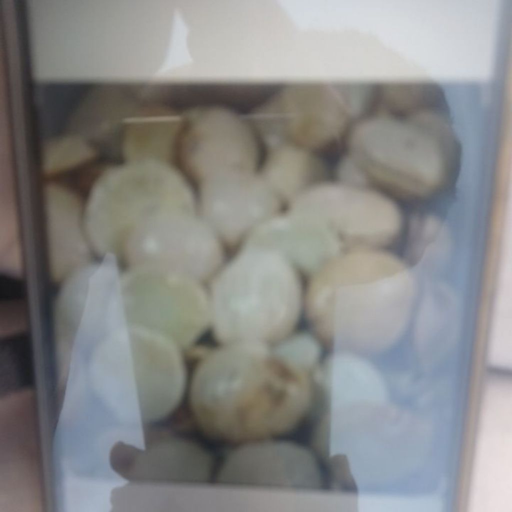 jengkol rebus frozen