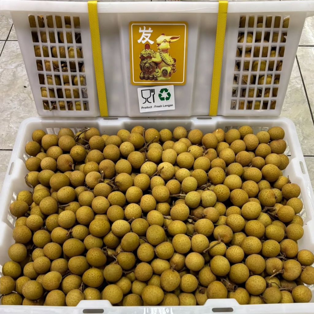 BUAH LENGKENG 1 KERANJANG [ 11 KG ] INSTANT SEGEL ASLI / BUAH KLENGKENG 1 KRAT / KELENGKENG 1 KERANJ
