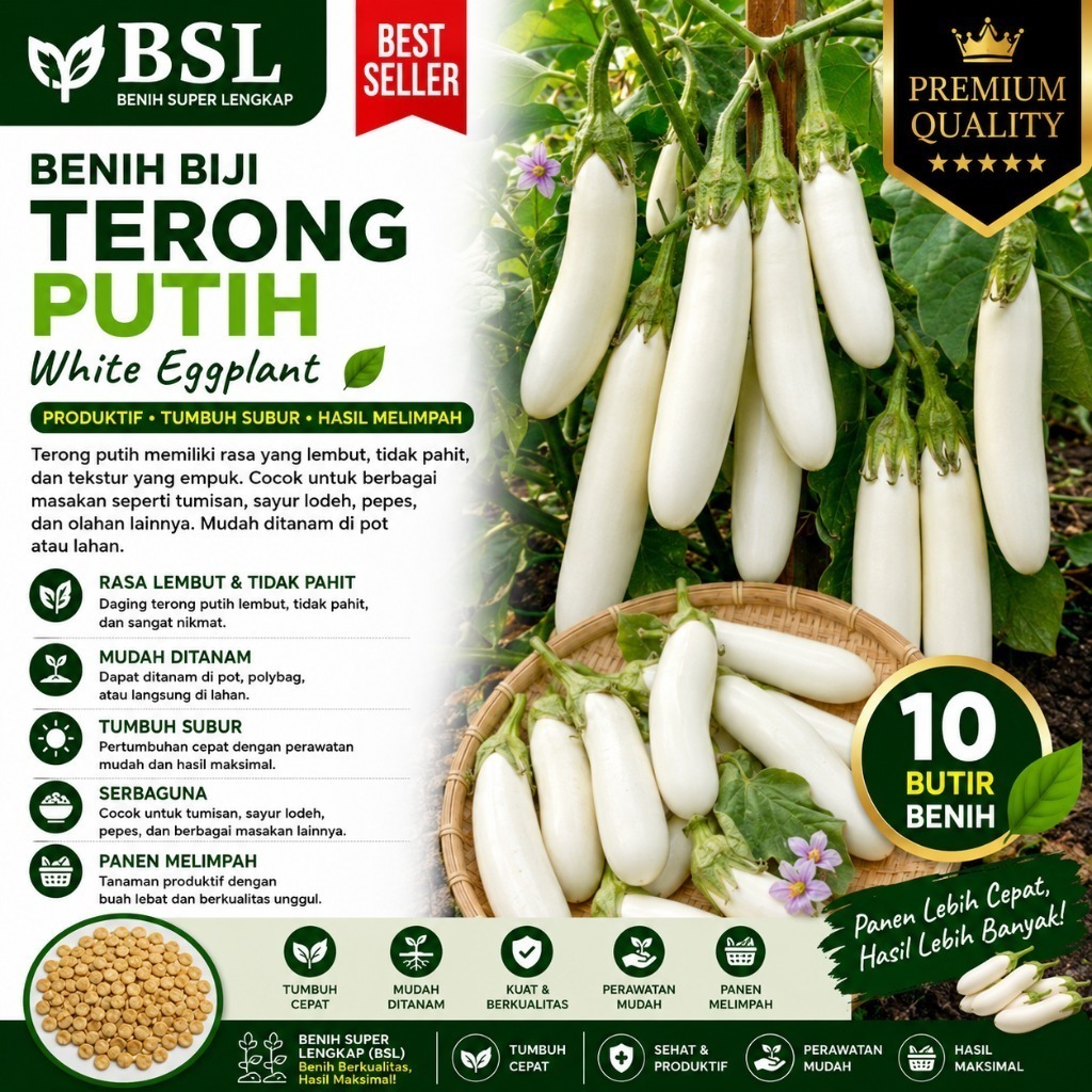 ( 10 Butir ) Benih Biji Terong Putih | Terong Putih Panjang | UKI BIBIT