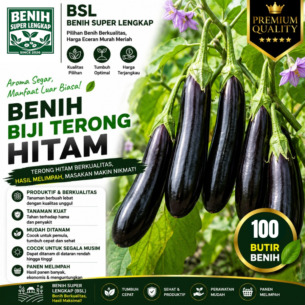 ( 100 Butir ) Benih Biji Terong Hitam | Terong Hitam Panjang UKI BIBIT