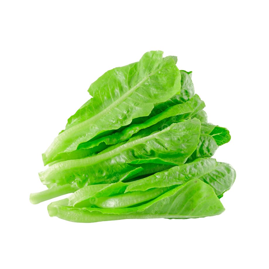 Baby Romaine 250gr
